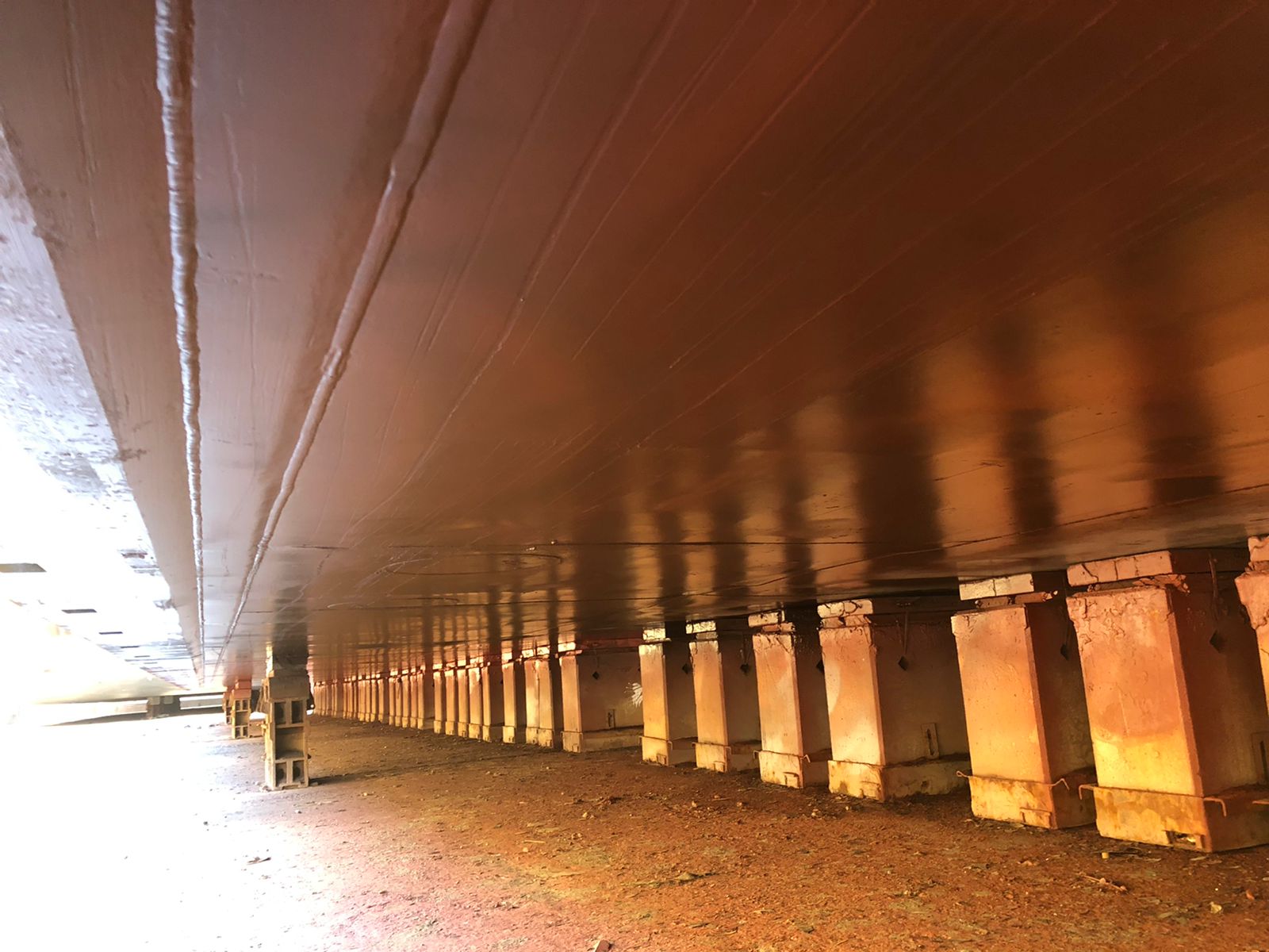 WhatsApp Image 2022-04-25 at 14.57.13 (1)